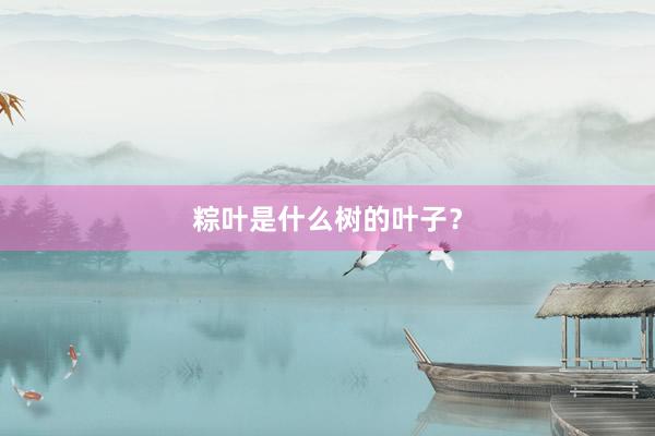 粽叶是什么树的叶子？
