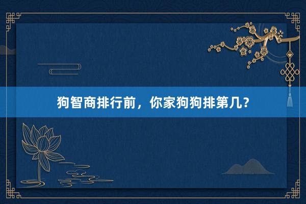 狗智商排行前,你家狗狗排第几?